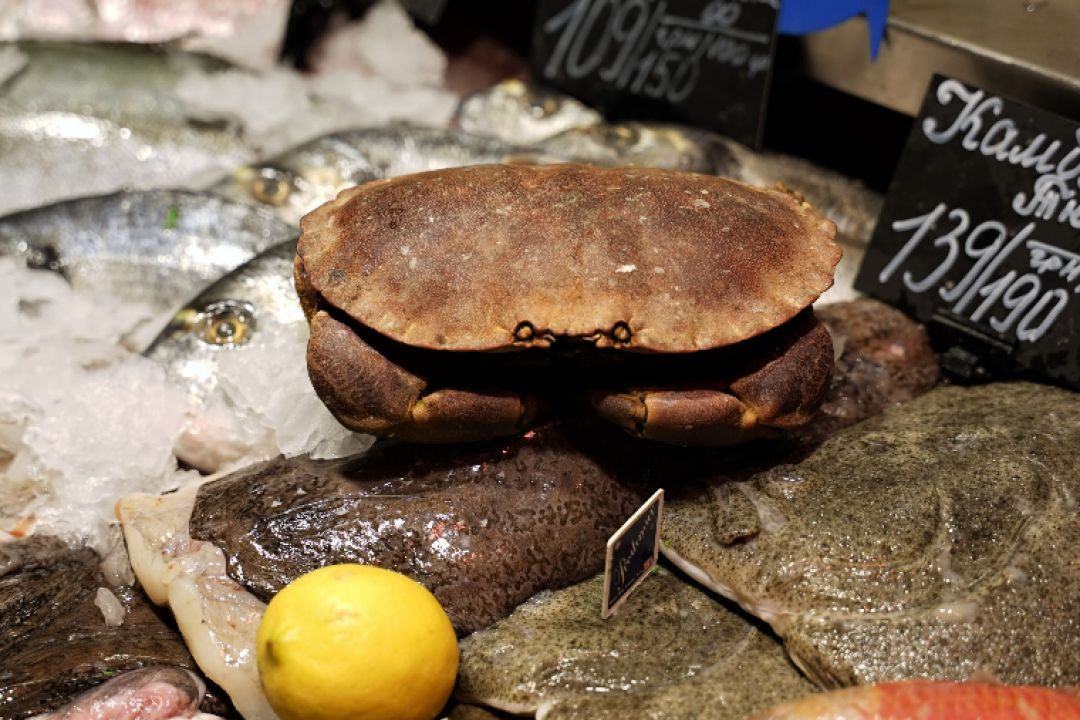 Гід Столичним Ринком: Де шукати рамен, крабів, лобстерів та вугрів з Шацьких озер