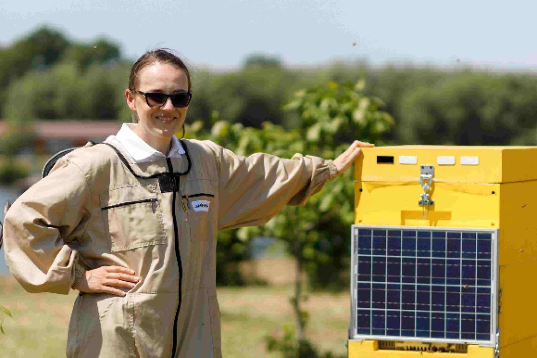 “Ми створили першу у світі IT-пасіку” – київські інженери розповідають про унікальний проєкт