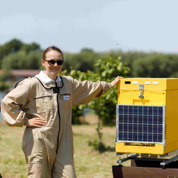 “Ми створили першу у світі IT-пасіку” – київські інженери розповідають про унікальний проєкт