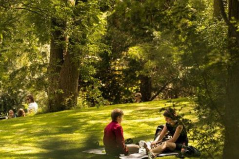 Замість МАФів біля КПІ планують облаштувати сквер