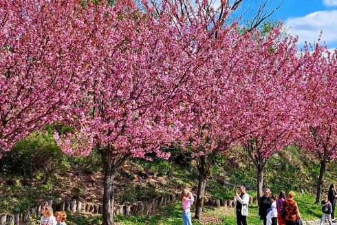 5 місць для весняного пікніка у Києві