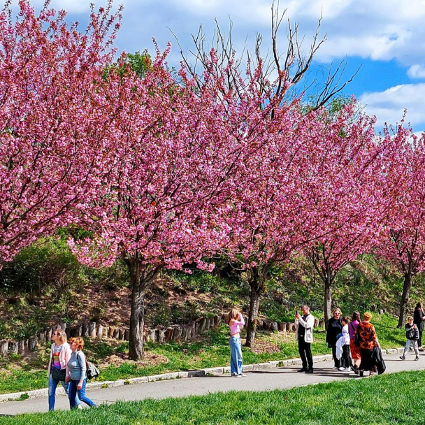 5 місць для весняного пікніка у Києві