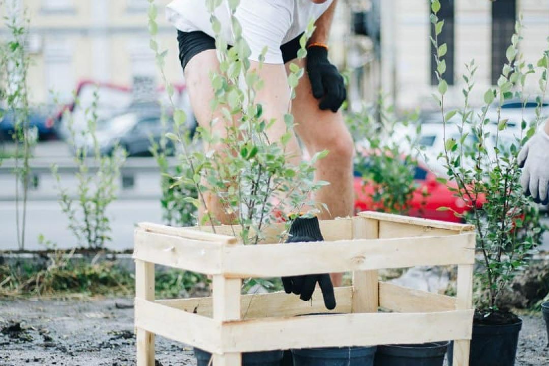 6 екологічних організацій Києва, до яких може приєднатись кожен