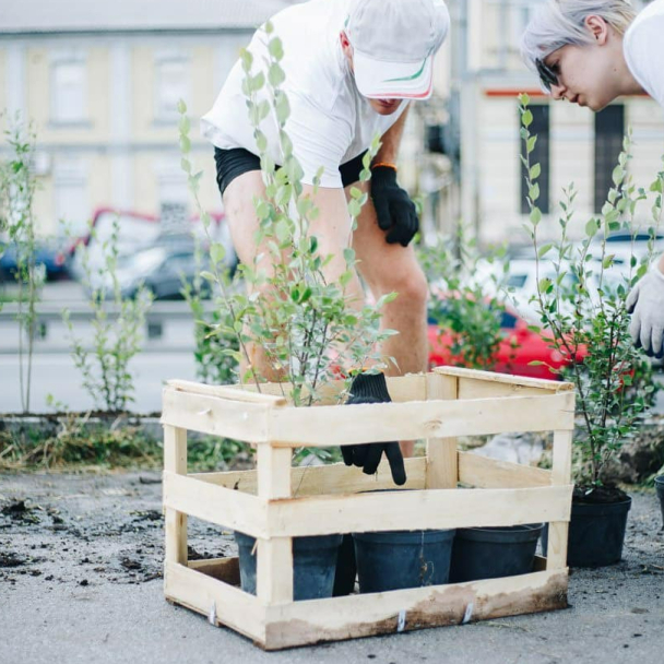 6 екологічних організацій Києва, до яких може приєднатись кожен