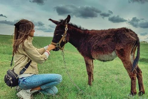 Де відпочити під Києвом: 5 екоферм і садиб, куди поїхати на вихідні