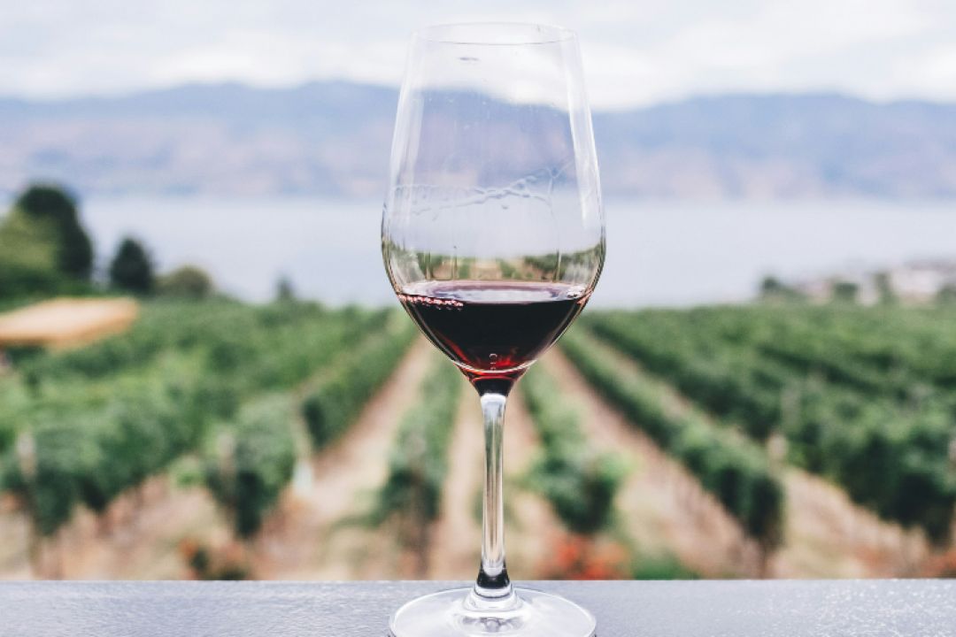 Куди поїхати на вихідні: Гід виноробнями України