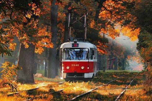 З'явився чат-бот, який повідомляє про час приїзду транспорту на зупинку