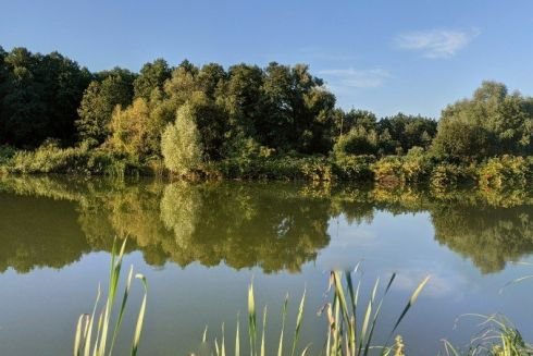 Києву повернули землю біля озера на Оболоні, де незаконно розмістили базу для катерів
