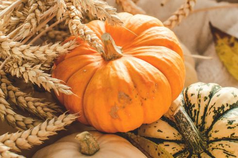 Що готувати в жовтні: 5 рецептів із сезонних продуктів