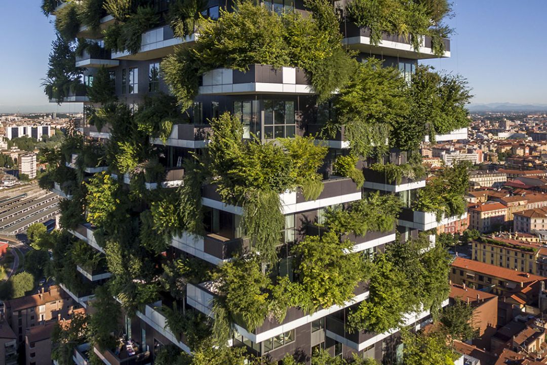 Ідеї для Києва: Як у різних містах світу покращують якість повітря