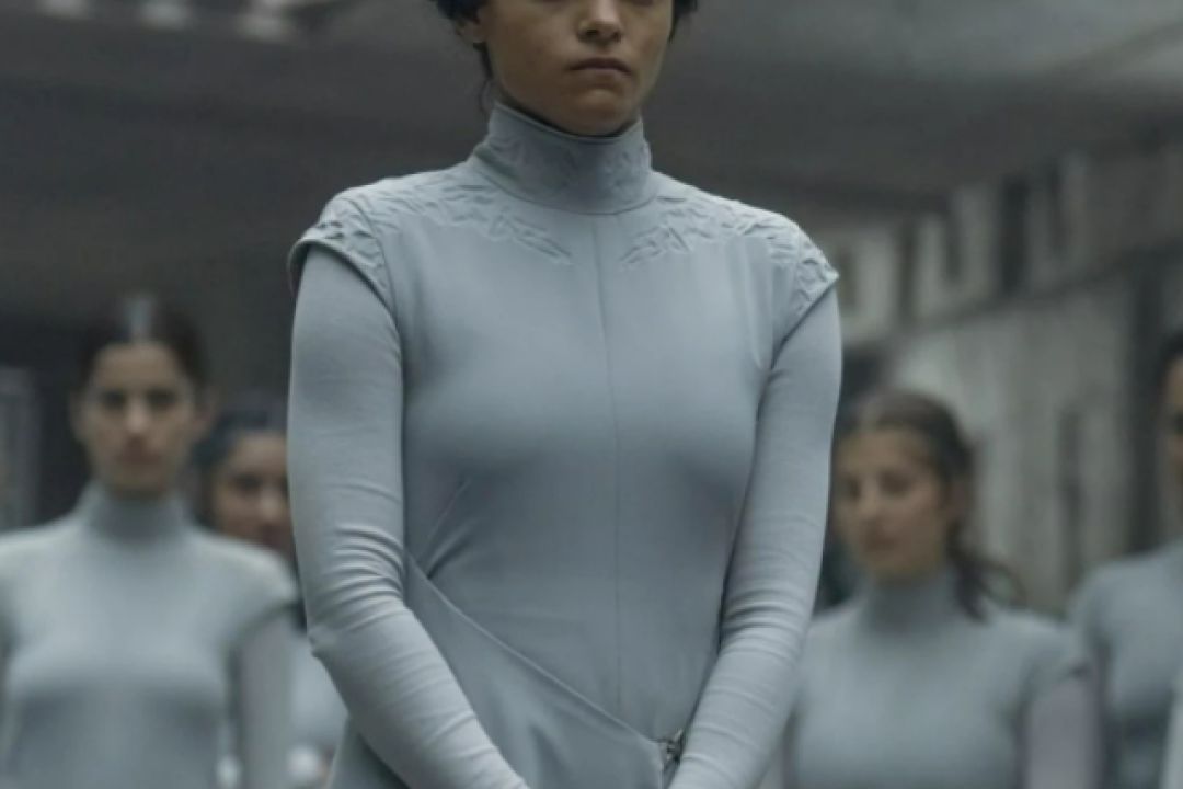 Єллоустоун, Бункер та Дюна: 12 серіалів листопада