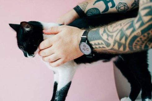 5 киевских инициатив, которые пристраивают бездомных собак и котов