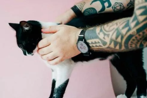 5 київських ініціатив, які прилаштовують бездомних собак і котів