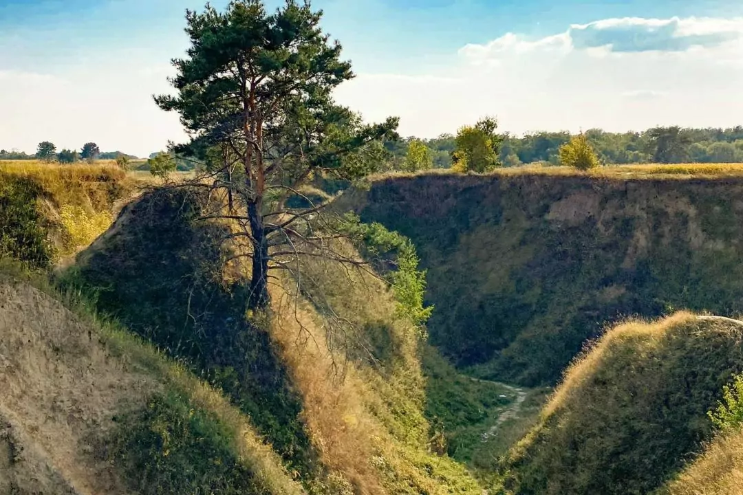 На Київщині з'явиться 13 нових заповідників: Де саме