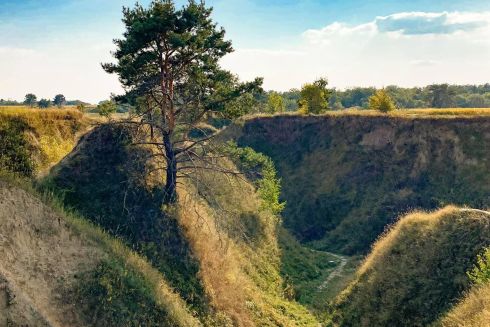 В Киевской области появится 13 новых заповедников: где именно