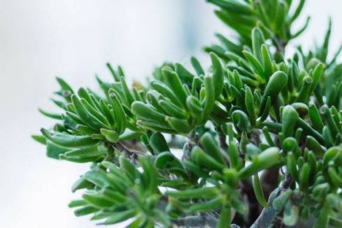 Краще за тиждень: що роблять з містом Євробачення та тепла погода