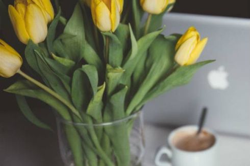 Краще за тиждень: бум нових закладів, вейкбординг та концертний березень