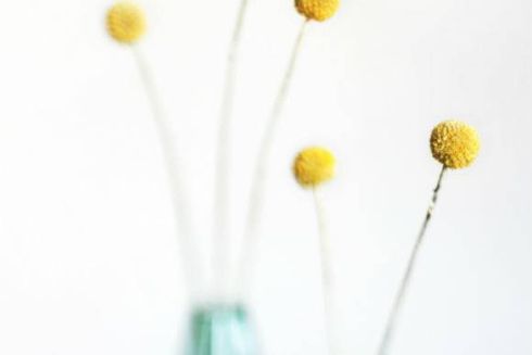 Краще за тиждень: сучасні будівлі Києва, мами-супергої та сезонні рецепти