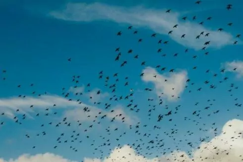 Лучшее за неделю: Троещина на гироскутере, даркнет и бюджетные полеты в Европу