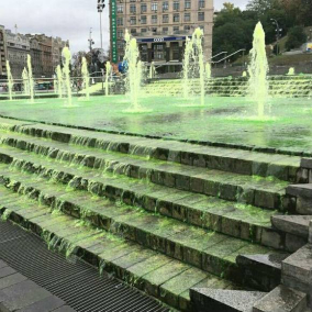 Фотохроніка: як позеленіли київські фонтани і Либідь