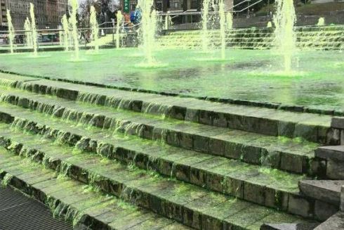 Фотохроніка: як позеленіли київські фонтани і Либідь