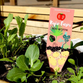 На территории микрофермы в центре Киева устроят маркет для городских садоводов
