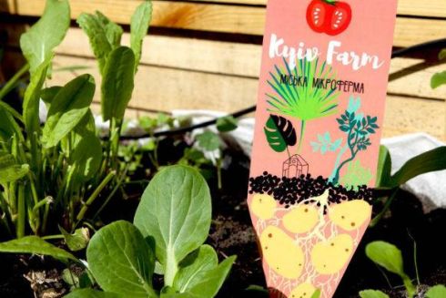 На території мікроферми у центрі Києва влаштують маркет для міських садоводів