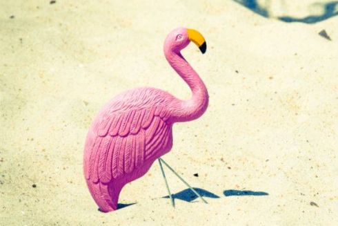 Лучшее за неделю: шедевры модернизма, сервисы для путешествий и как усыновить фламинго