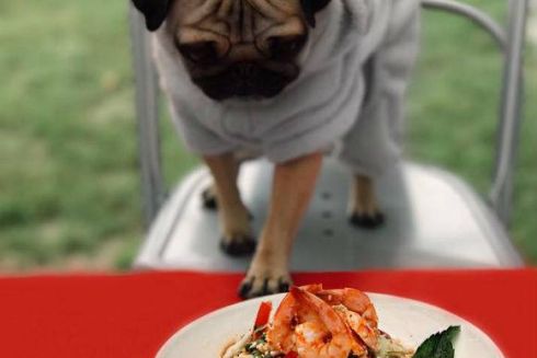 Ресторан азіатської кухні Kitaika відкриває точку на Лівобережці