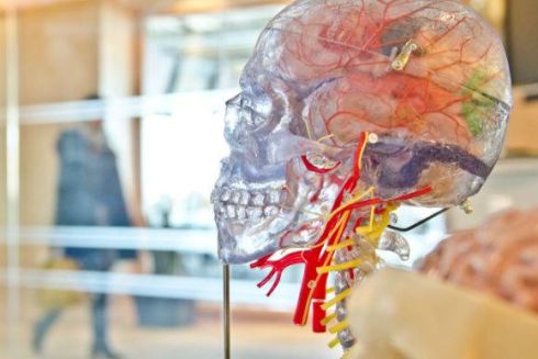 9 образовательных проектов-победителей “Общественного бюджета”: лаборатории, мастерские и коворкинги