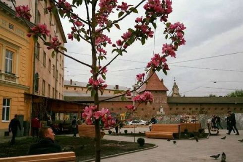 У Львові після реконструкції відкрили Митну площу