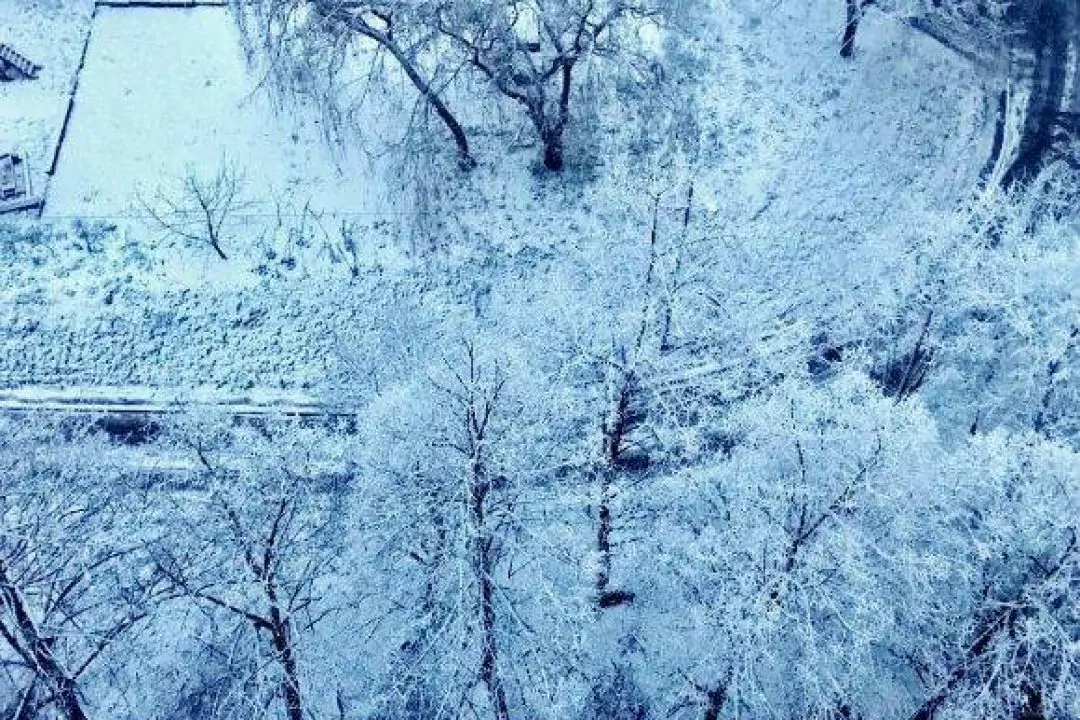 Зимовий Київ в Instagram