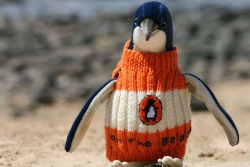 Генеральная уборка: 7 впечатляющих идей по спасению птиц