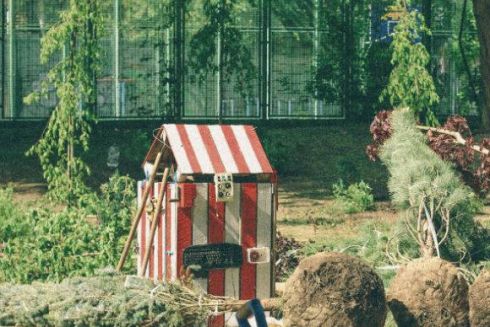 Самосад на Подолі відновлює роботу