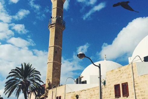 Где есть, пить и развлекаться в Тель-Авиве