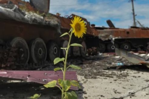 Війна з росією уразила понад 20 % природоохоронних територій України