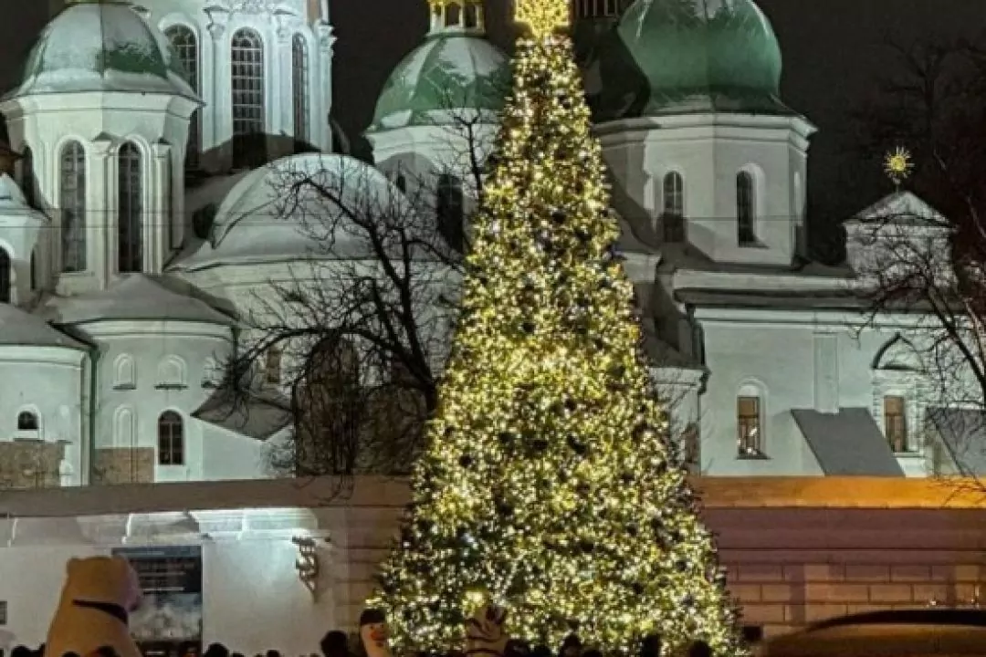 Ялинку на Софійській площі відкриють 6 грудня. Її встановлять за кошт меценатів