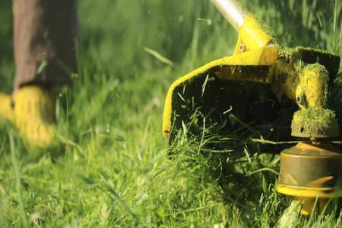 У &ldquo;Київ Цифровий&rdquo; з&rsquo;явилися опитування про косіння трави та якість повітря на районах