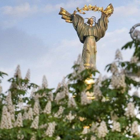 В прошлом году в Киеве посадили вдвое меньше каштанов, чем срубили