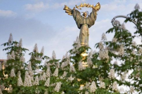 В прошлом году в Киеве посадили вдвое меньше каштанов, чем срубили