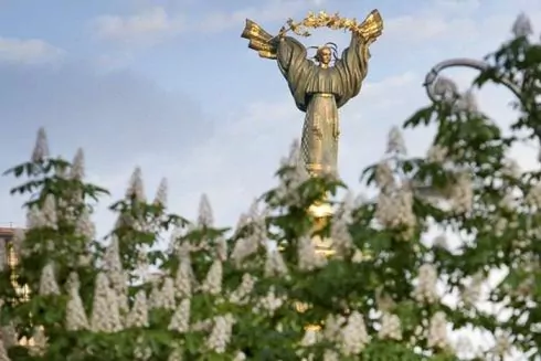 Минулого року в Києві посадили вдвічі менше каштанів, ніж зрубали