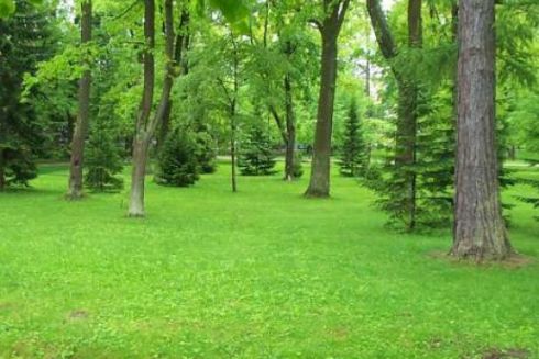 Киевсовет защитил от застройки почти 30 га земли: там обустроят парки и скверы