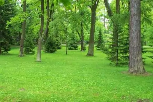 Киевсовет защитил от застройки почти 30 га земли: там обустроят парки и скверы