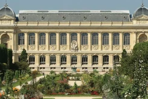 В Париже Сад растений модернизируют с помощью украинских труб