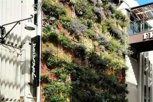 &laquo;Живі стіни&raquo;: у Києві шукають локацію для благодійного екопроєкту