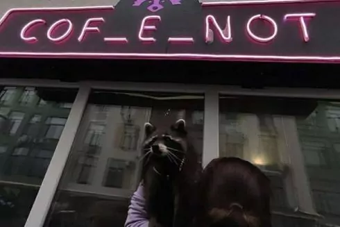 У районі Жулян відкрилась кав&rsquo;ярня CoF_E_Not з живим єнотом