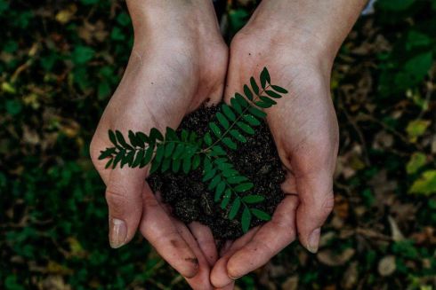 Запас поновлюваних ресурсів Землі закінчиться 29 липня