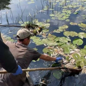 Росіяни скинули отруйні речовини в Сейм: Чи безпечна вода в Києві