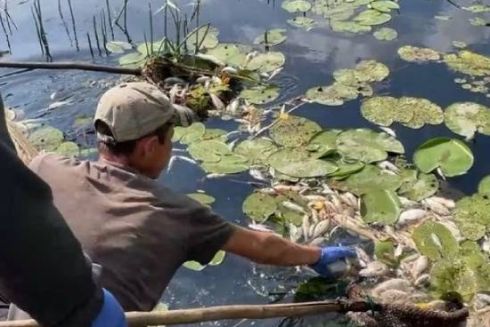 Росіяни скинули отруйні речовини в Сейм: Чи безпечна вода в Києві