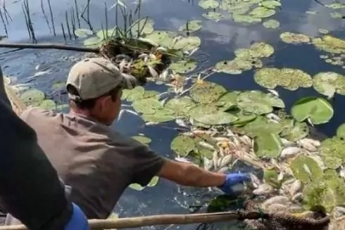 Росіяни скинули отруйні речовини в Сейм: Чи безпечна вода в Києві